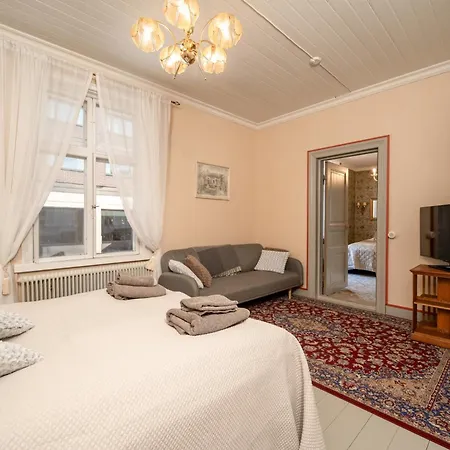 Historiallinen Hyvinvarusteltu Remontoitu 2mh Apartment *