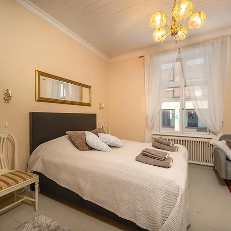 Historiallinen Hyvinvarusteltu Remontoitu 2mh Apartment *