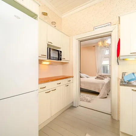 Historiallinen Hyvinvarusteltu Remontoitu 2mh Apartment *